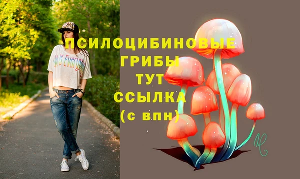 метадон Алексеевка