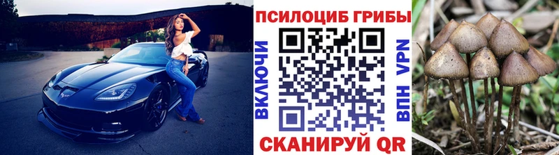 мориарти официальный сайт сколько стоит Боровичи Галлюциногенные грибы мицелий